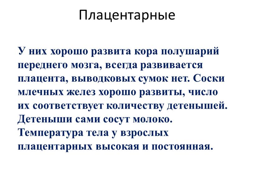 Плацентарные У них хорошо развита кора полушарий переднего мозга, всегда развивается плацента, выводковых сумок нет