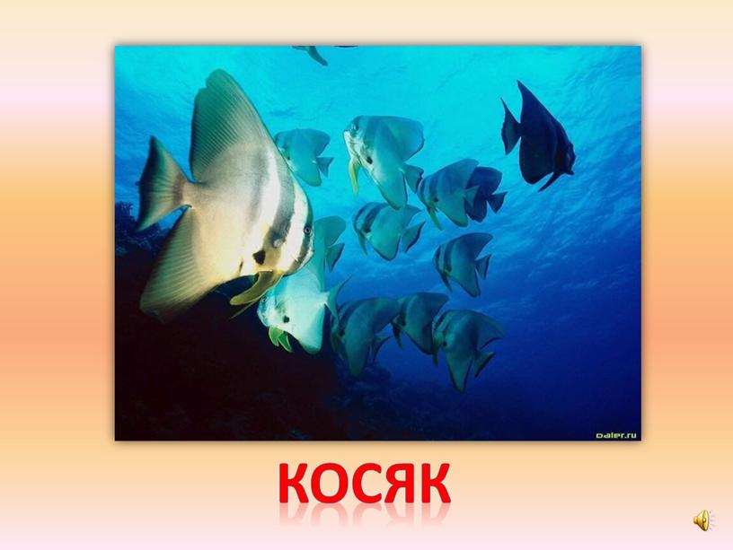 косяк