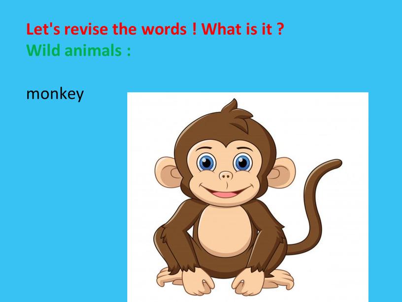 Let's revise the words ! What is it ?