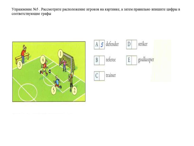 Упражнение №5 . Рассмотрите расположение игроков на картинке, а затем правильно впишите цифры в соответствующие графы