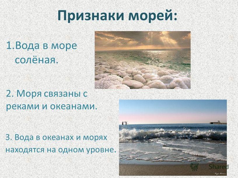 Презентация на тему: "Море"