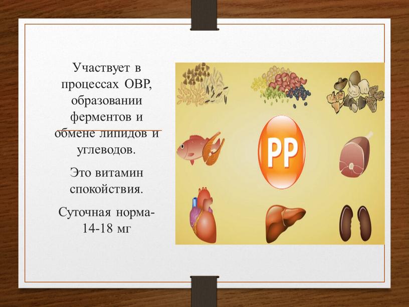 Участвует в процессах ОВР, образовании ферментов и обмене липидов и углеводов