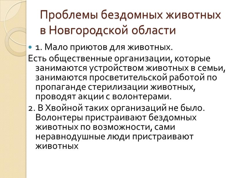 Проблемы бездомных животных в Новгородской области 1