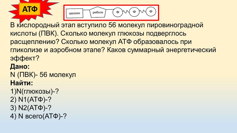 В кислородный этап вступило 56 молекул пировиноградной кислоты (ПВК)