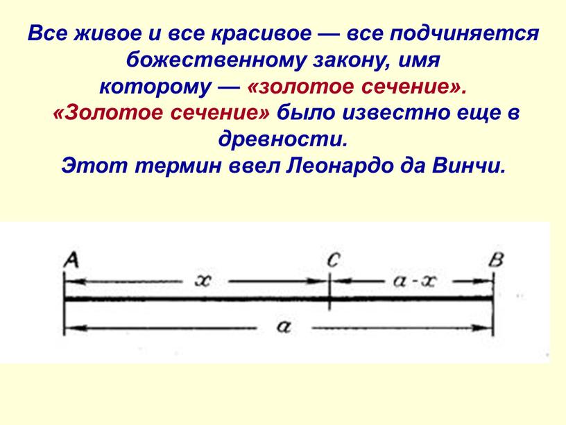 Все живое и все красивое — все подчиняется божественному закону, имя которому — «золотое сечение»