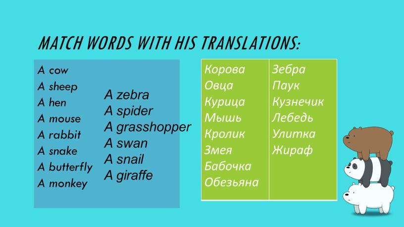 Match words with his translations: