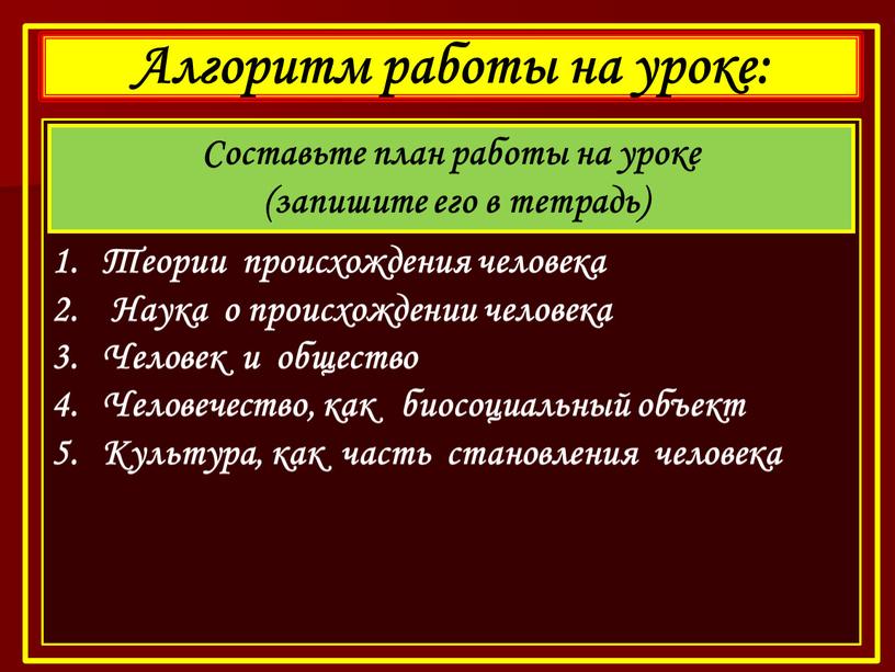 Алгоритм работы на уроке: Теории происхождения человека