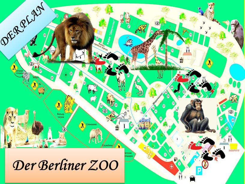 DER PLAN Der Berliner ZOO