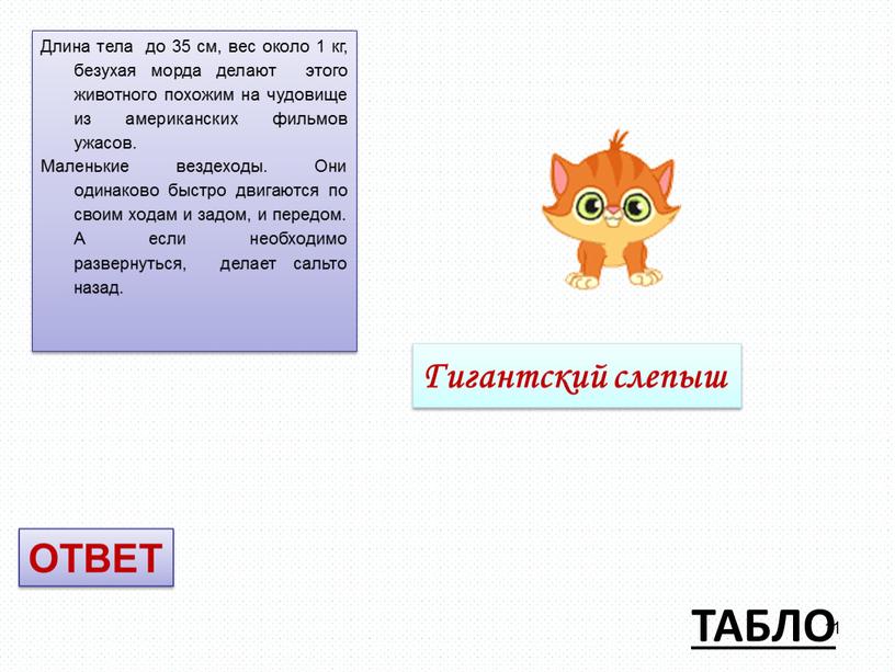 ТАБЛО Гигантский слепыш Длина тела до 35 см, вес около 1 кг, безухая морда делают этого животного похожим на чудовище из американских фильмов ужасов