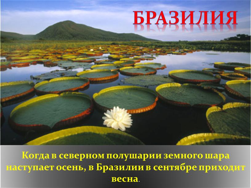 Когда в северном полушарии земного шара наступает осень, в