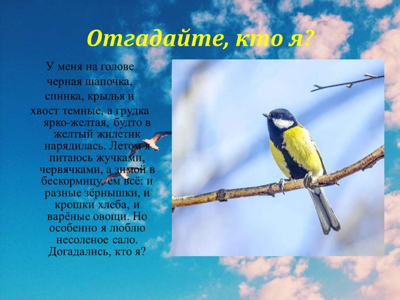 Отгадайте, кто я? У меня на голове черная шапочка, спинка, крылья и хвост темные, а грудка ярко-желтая, будто в желтый жилетик нарядилась