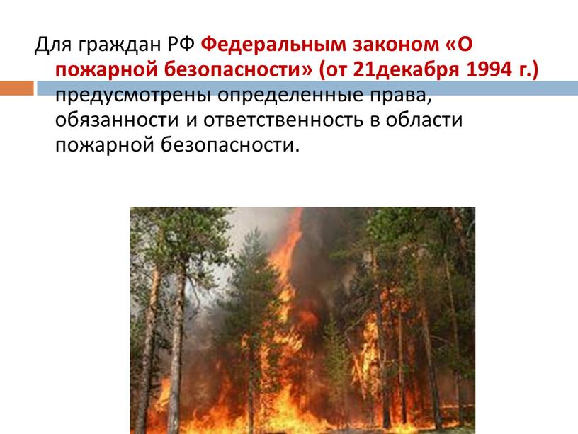 Для граждан РФ Федеральным законом «О пожарной безопасности» (от 21декабря 1994 г