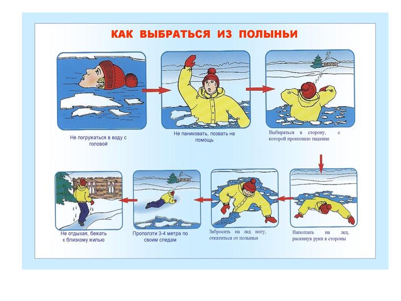 Презентация "Поведение зимой"