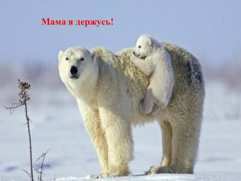 Мама я держусь!