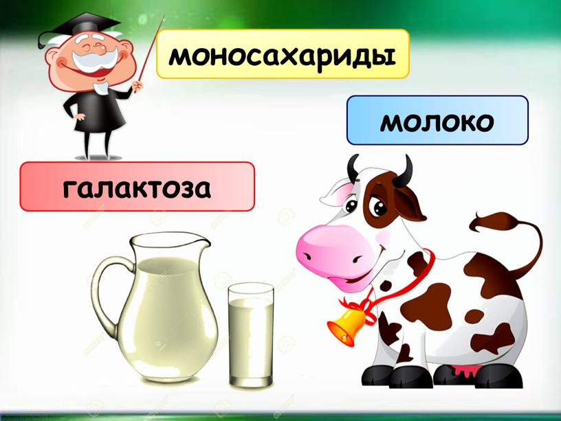 галактоза моносахариды молоко