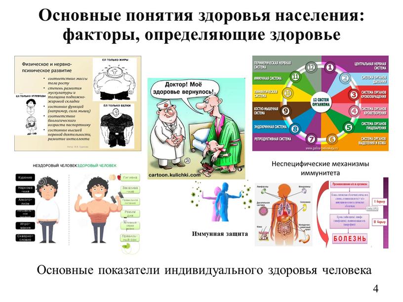 Основные показатели индивидуального здоровья человека