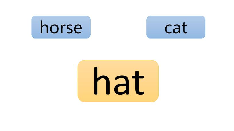 cat horse hat