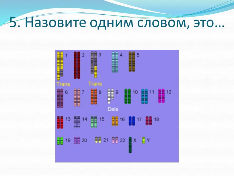 5. Назовите одним словом, это…