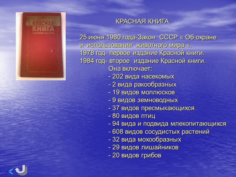 КРАСНАЯ КНИГА 25 июня 1980 года-Закон