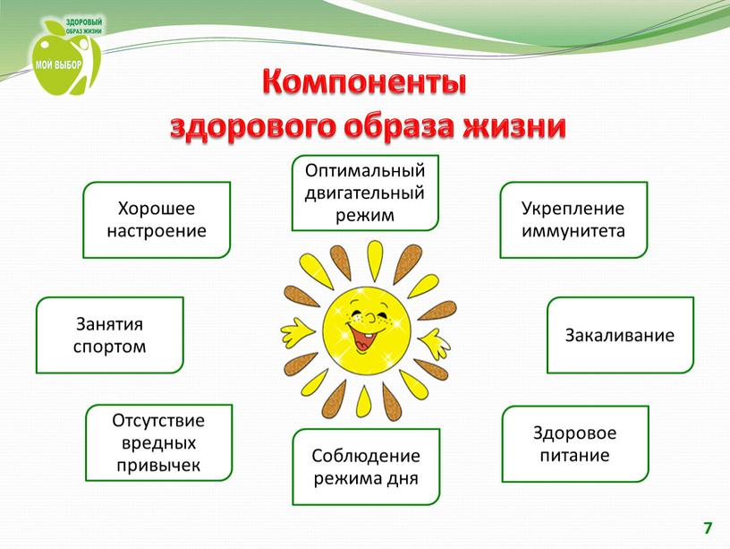 Компоненты здорового образа жизни 7