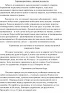 Обложка для материала Хорошая растяжка – признак молодости.