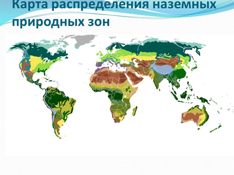 Карта распределения наземных природных зон