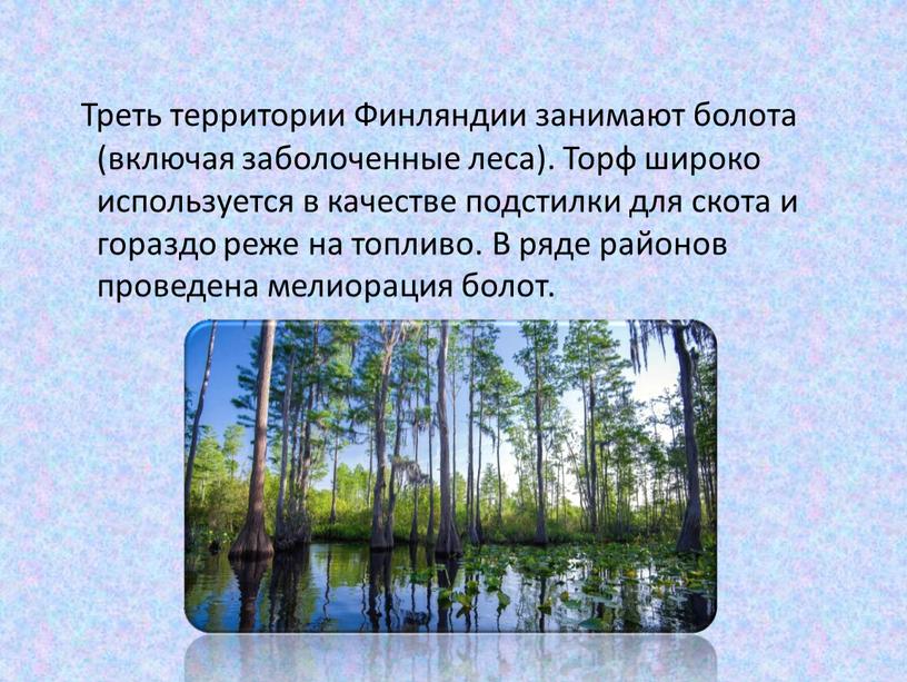 Треть территории Финляндии занимают болота (включая заболоченные леса)