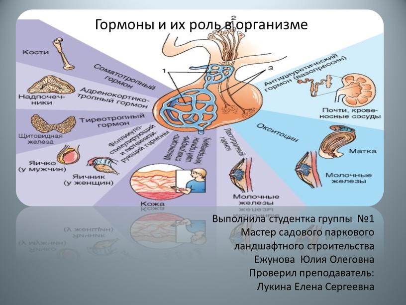 Выполнила студентка группы №1