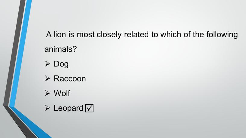 A lion is most closely related to which of the following animals?