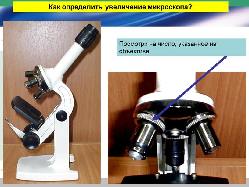 Как определить увеличение микроскопа?