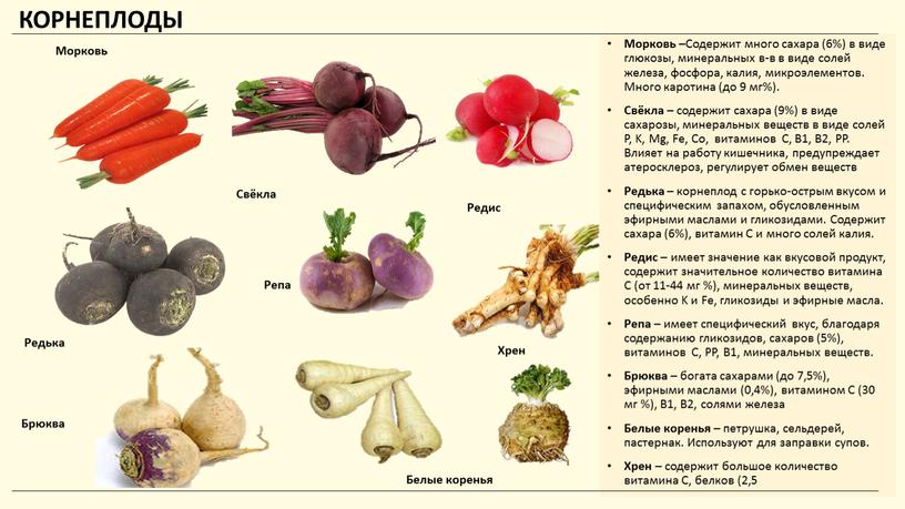 КОРНЕПЛОДЫ Морковь – Содержит много сахара (6%) в виде глюкозы, минеральных в-в в виде солей железа, фосфора, калия, микроэлементов