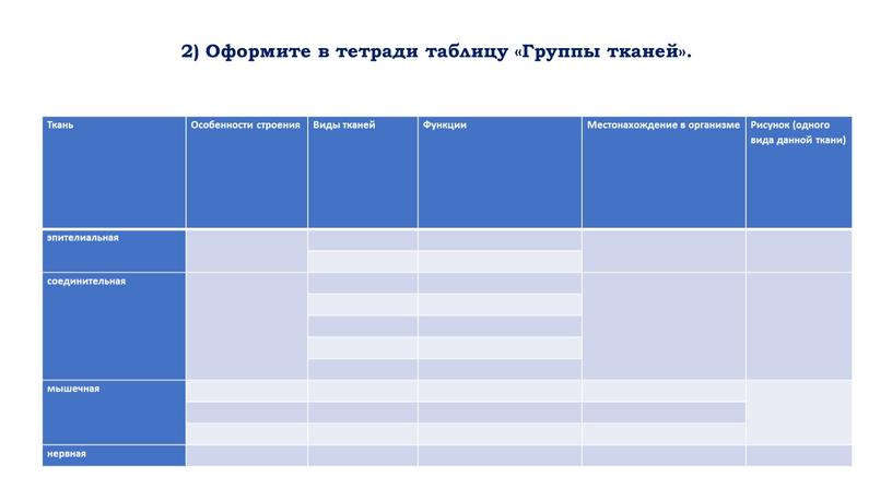 Оформите в тетради таблицу «Группы тканей»