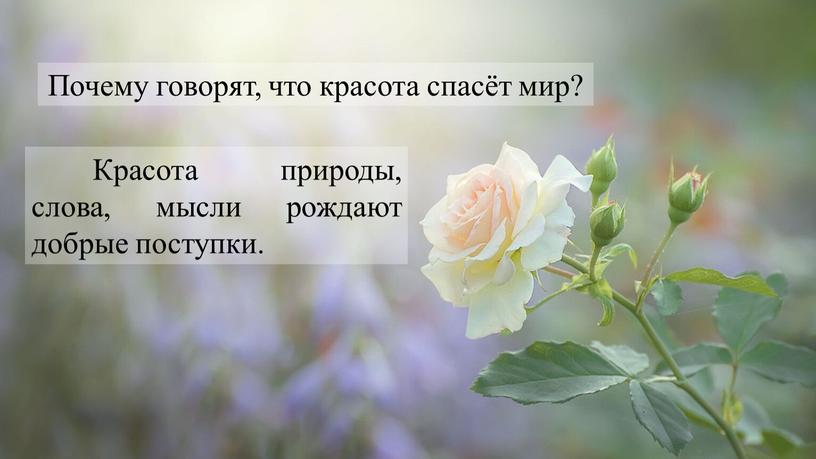 Почему говорят, что красота спасёт мир?