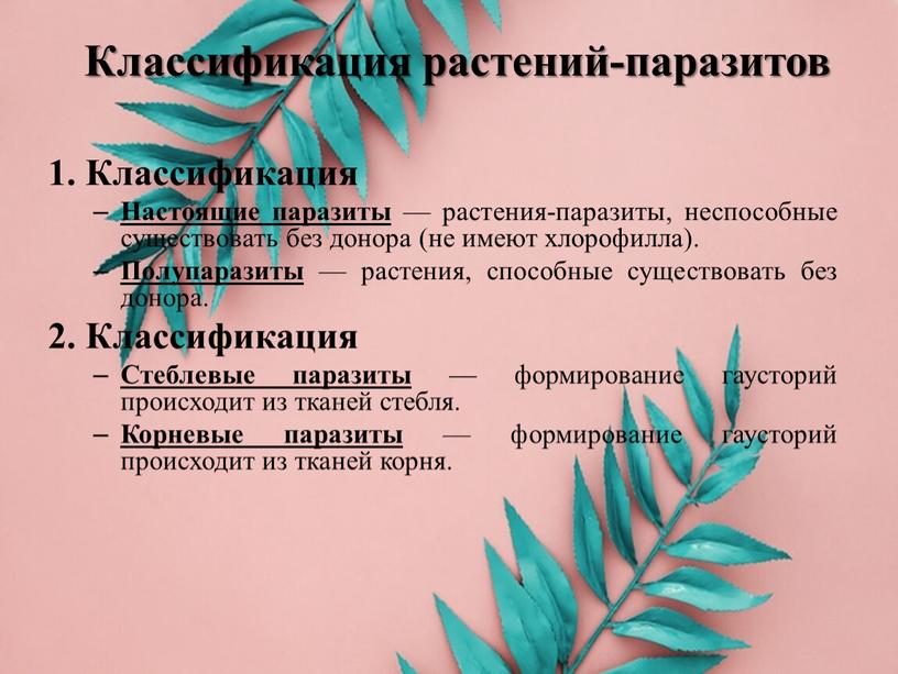 Классификация растений-паразитов 1