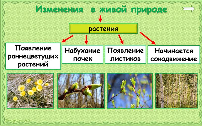 Изменения в живой природе растения