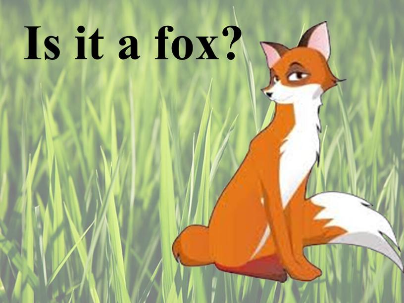 Is it a fox?