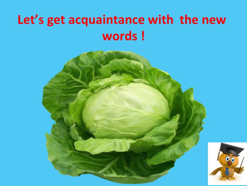 Let’s get acquaintance with the new words !