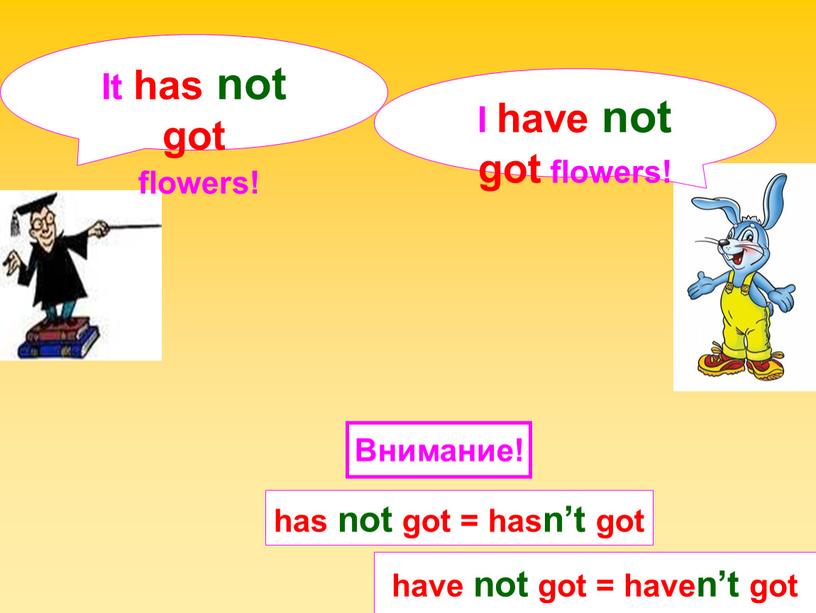 I have not got flowers! It has not got flowers! have not got = haven’t got