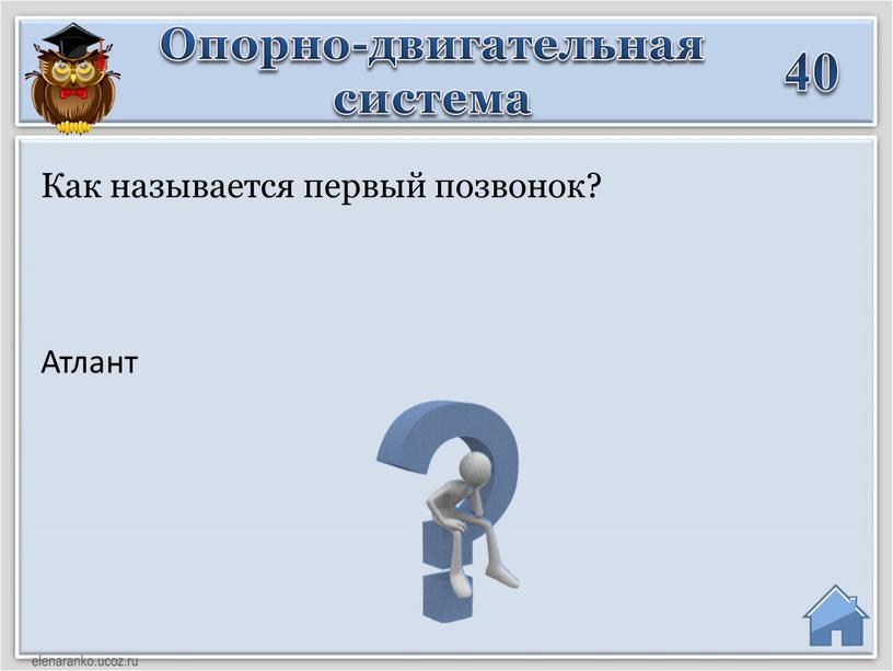 Атлант Как называется первый позвонок?