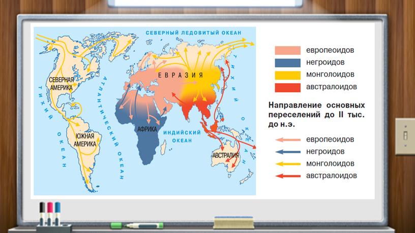 Презентация "Расы"