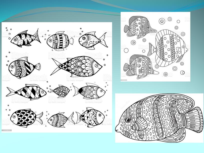 Презентация по изобразительному искусству "Красивые рыбы". Поэтапное выполнение рисунка.