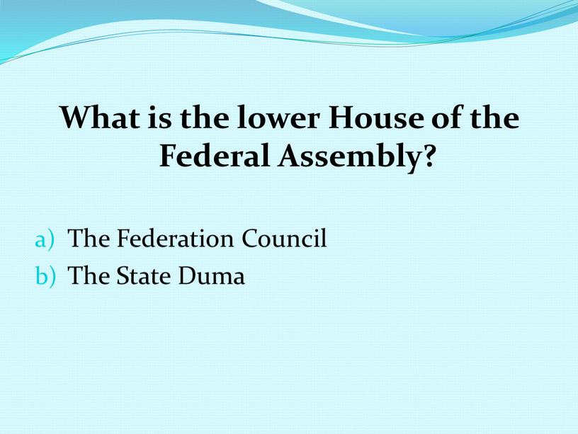 What is the lower House of the