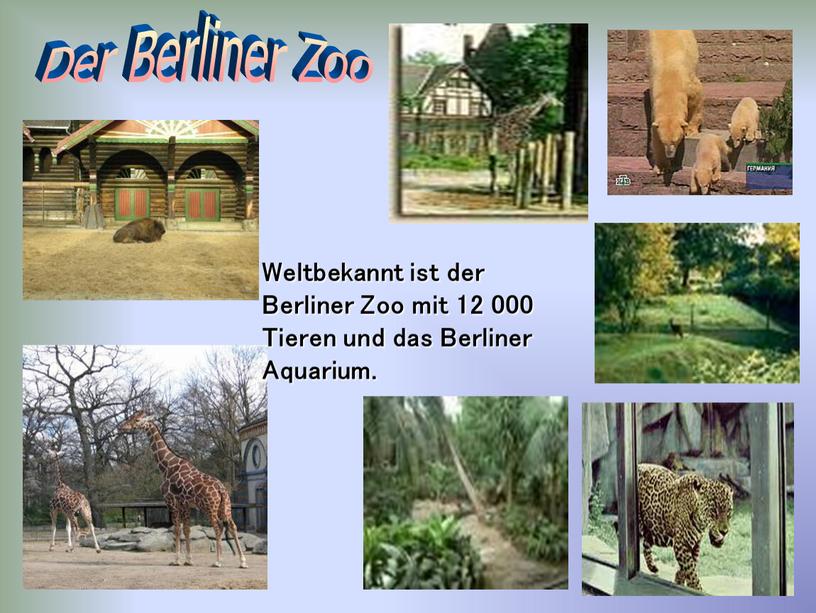 Der Berliner Zoo Weltbekannt ist der