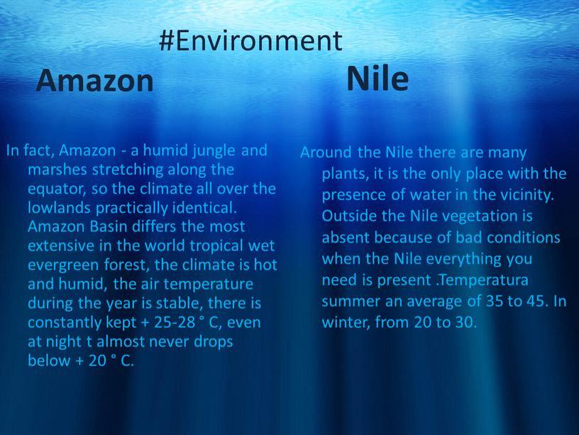 Environment Amazon In fact, Amazon - a humid jungle and marshes stretching along the equator, so the climate all over the lowlands practically identical