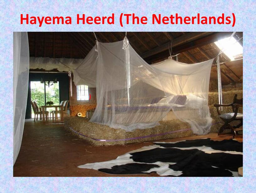 Hayema Heerd (The Netherlands) )