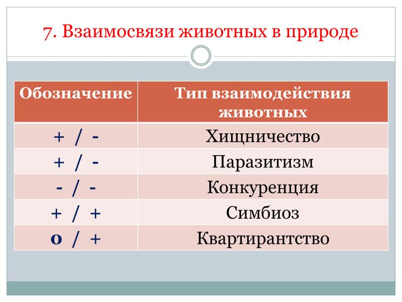 Взаимосвязи животных в природе