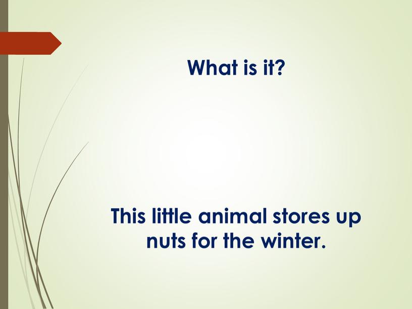 What is it? This little animal stores up nuts for the winter