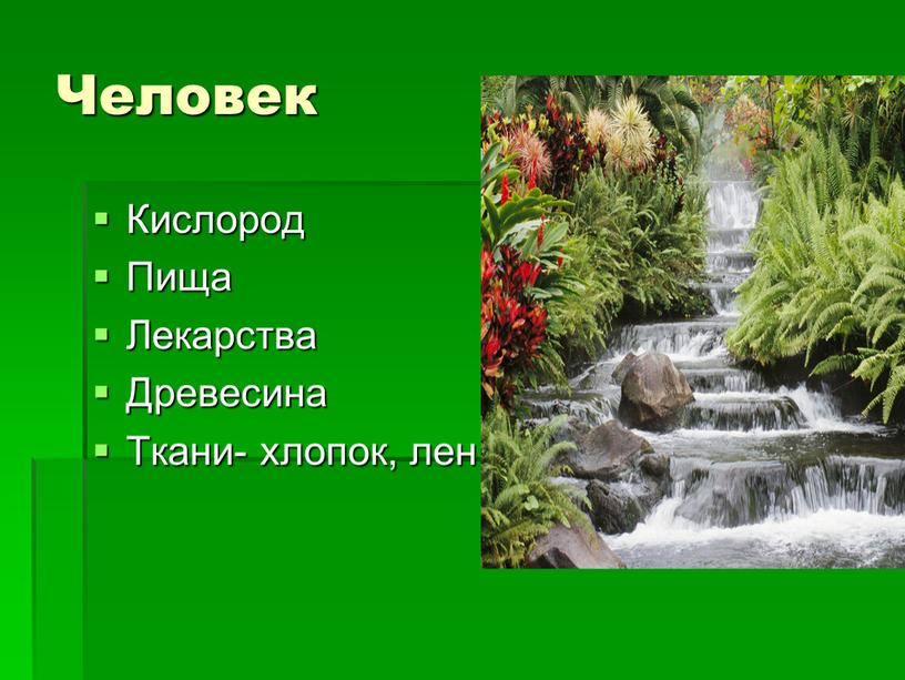 Человек Кислород Пища Лекарства