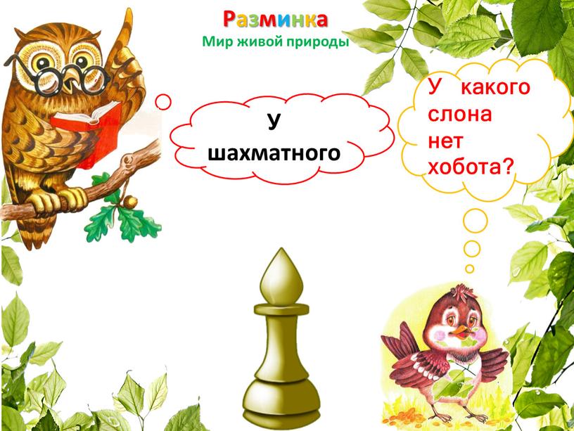 Разминка Мир живой природы У какого слона нет хобота?