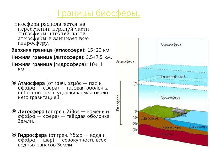 Границы биосферы. Биосфера располагается на пересечении верхней части литосферы, нижней части атмосферы и занимает всю гидросферу